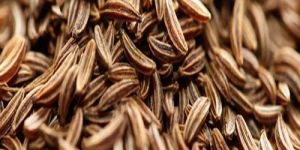 Cumin Seeds