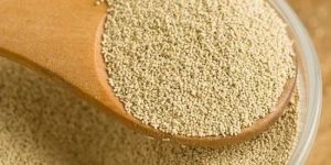 Dry Yeast