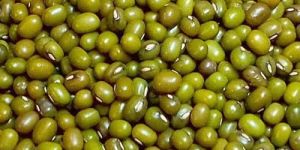 Green Moong Dal