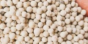 White Pepper Seeds