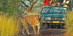 Golden Triangle Tour with Bharatpur and Ranthambore