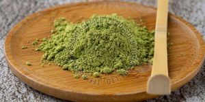 Green Tea Extract