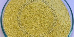 Phytase Enzyme Granule