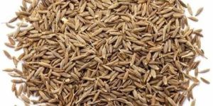 Dried Brown Cumin Seeds