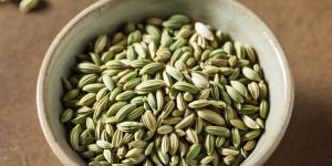 Fennel Seeds