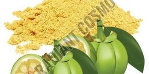 Garcinia Cambogia Extract