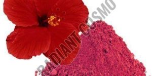 Hibiscus Extract