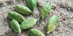 Green Cardamom