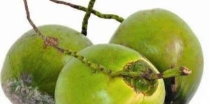 Fresh Tender Coconut