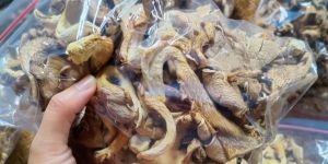 Dried Mushroom