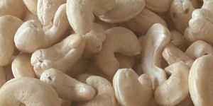 Cashew Nut