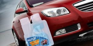 CARNAUBA WASH & WAX SHAMPOO