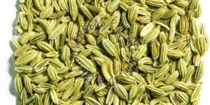 Fennel Seeds