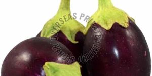 Fresh Brinjal