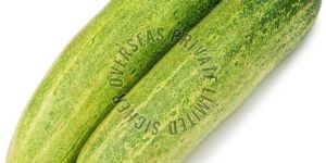 Fresh Cucumber