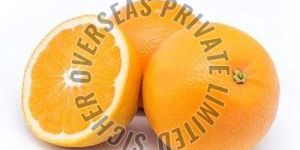 Fresh Orange