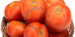 Fresh Tomato