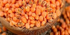 Red Lentils