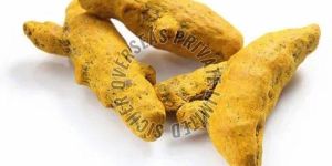 Turmeric Finger