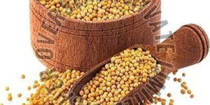 Yellow Mustard Seeds