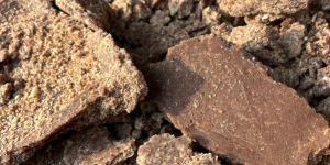 Organic Ground Nut Oil Cake