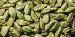 Cardamom