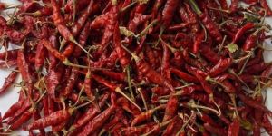 Dry Red Chilli