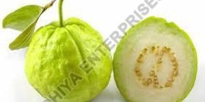 Fresh Guava