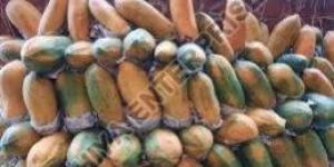 Fresh Papaya