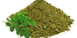 Moringa Powder