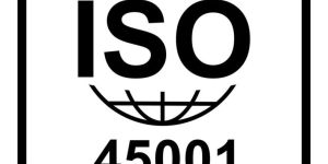 ISO 45001 Consultancy and Training