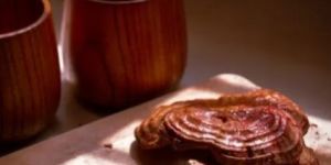 Dried Reishi Mushrooms