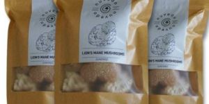 Sundried Lions Mane Mushrooms