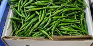 Fresh Green Chilli