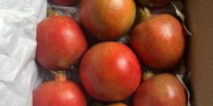 Fresh Pomegranate