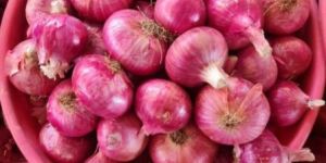 Red Onion