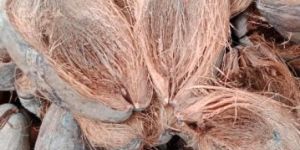 Coconut Shell