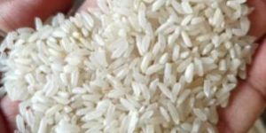 IR-64 Raw Rice