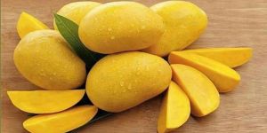 Fresh Alphonso Mango