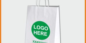 Customize Logo Printed Bags