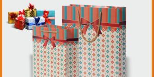 READY GIFTING Paper Bags
