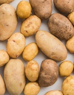 Potato