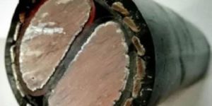 120Sqmm 2Core Aluminium Armoured Cable