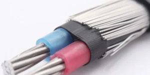 25 Sq.mm 2 Core Aluminium Armoured LT XLPE Cable