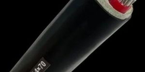 4 Sq.mm 2 Core Aluminium Armoured Cable