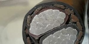 95 Sq.mm 2 Core Aluminium Armoured LT XLPE Cable