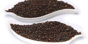 Mustard Seeds