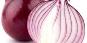 Fresh Red Onion