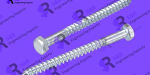 Hexagonal Lag Screws