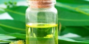 Eucalyptus Oil